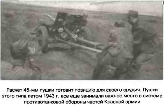 Освобождение 1943. «От Курска и Орла война нас довела…»