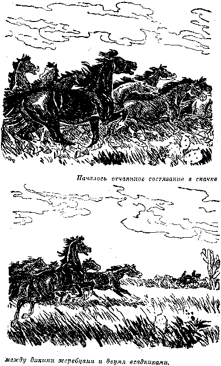 Мароны. Всадник без головы