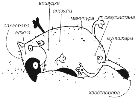 Как правильно ошибаться. Большая книга мануалов