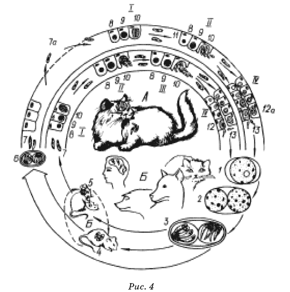 Новые тайны нераспознанных диагнозов. Книга 1