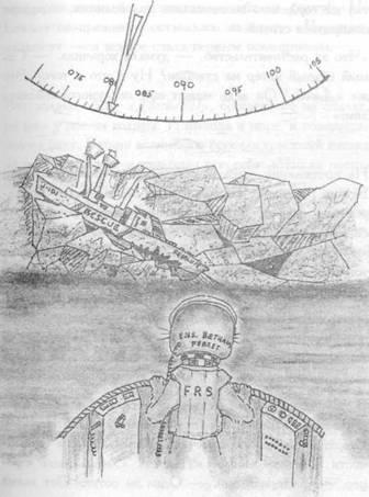 Хорьки-спасатели на море