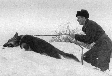 Солдат по кличке Рекс