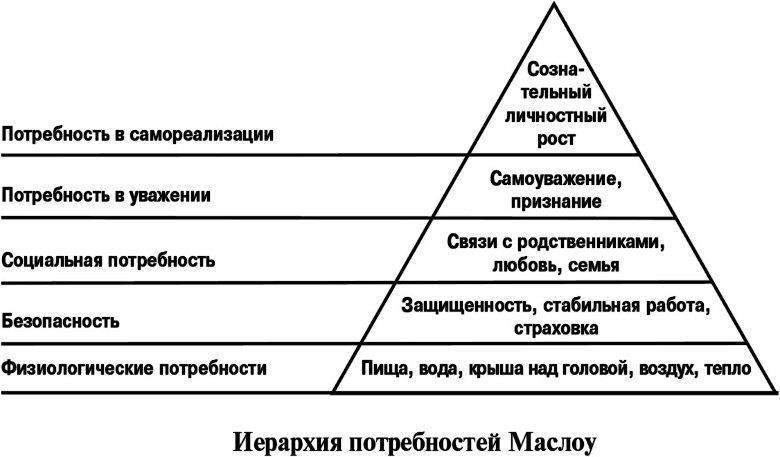 Виноваты звезды