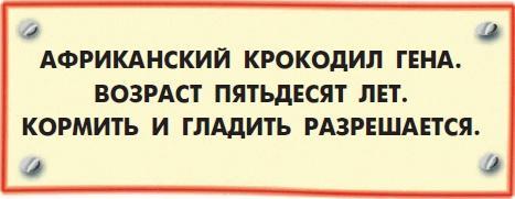 Все о Чебурашке и Крокодиле Гене