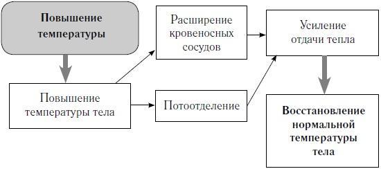 Как оставаться молодым и жить долго