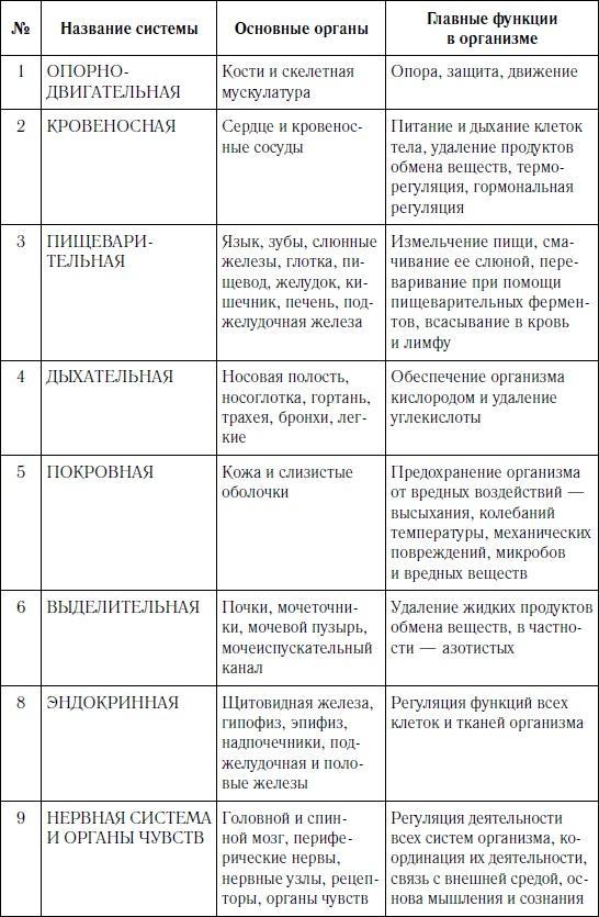 Как оставаться молодым и жить долго