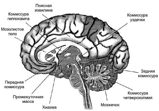 Психология детского творчества