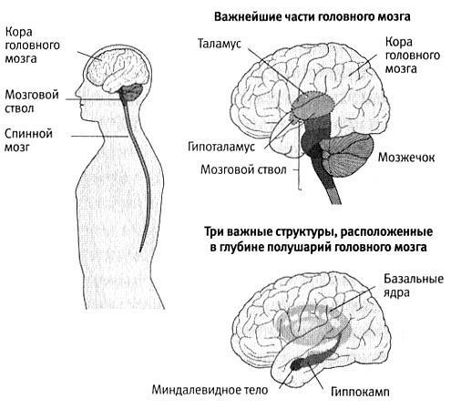 В поисках памяти