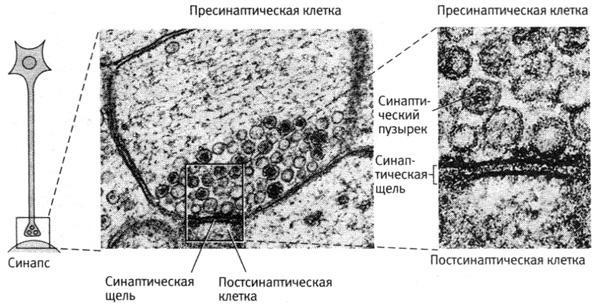 В поисках памяти