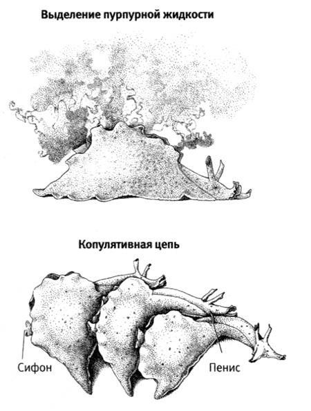 В поисках памяти