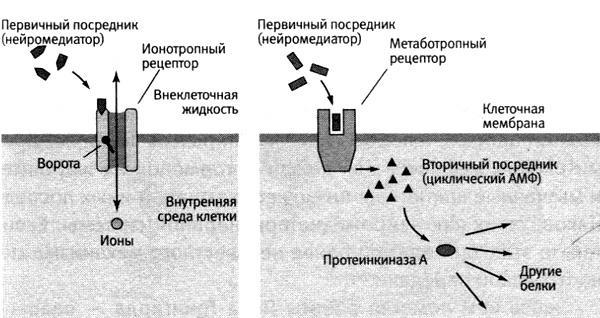 В поисках памяти