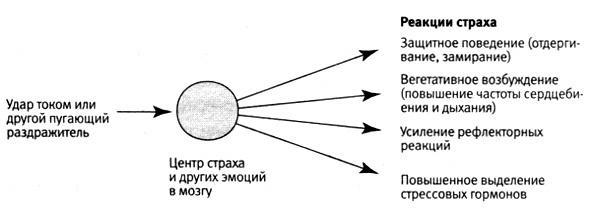 В поисках памяти