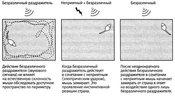 В поисках памяти