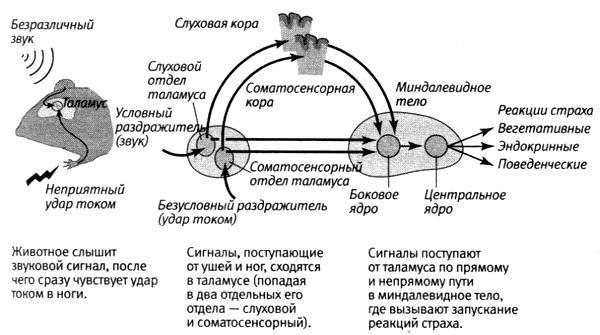 В поисках памяти