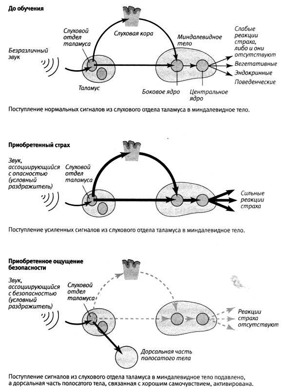 В поисках памяти