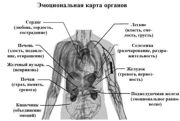 Без революций. Работаем над собой, оставаясь в гармонии