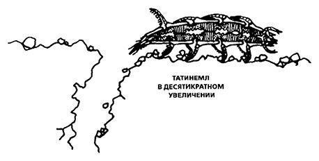 Планиверсум. Виртуальный контакт с двухмерным миром