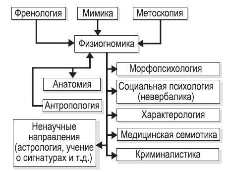 Курс начинающего лжеца от А до Я