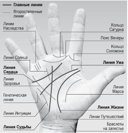 Курс начинающего лжеца от А до Я