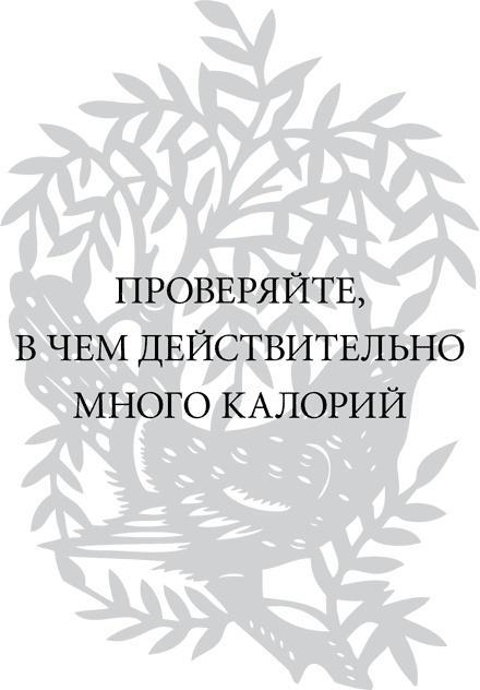 Правила снижения веса. Как худеть, не чувствуя себя несчастным