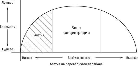 Максимальная концентрация. Как сохранить эффективность в эпоху клипового мышления