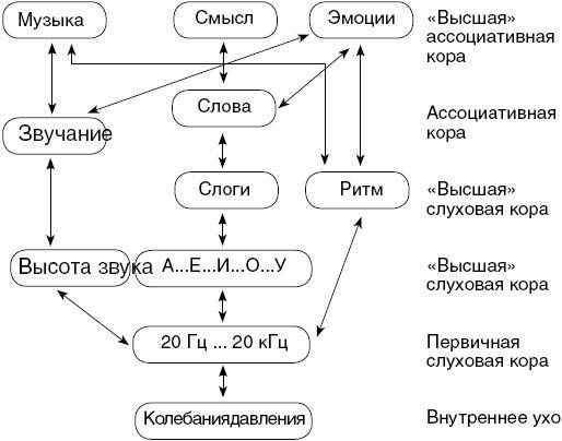 Антимозг. Цифровые технологии и мозг