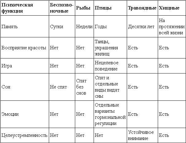 Интеллектика. Как работает ваш мозг