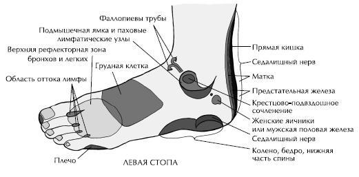 Йога и сексуальные практики