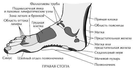 Йога и сексуальные практики