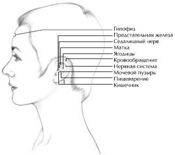 Йога и сексуальные практики