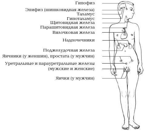 Йога и сексуальные практики