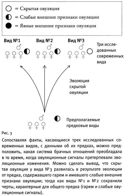 Почему нам так нравится секс