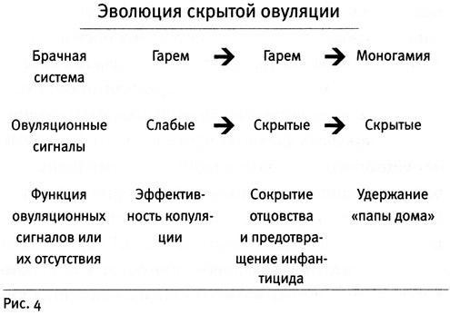 Почему нам так нравится секс