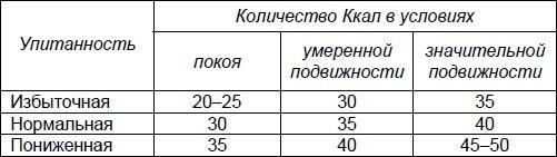 Школа гейши. Мудрость Востока для современной женщины