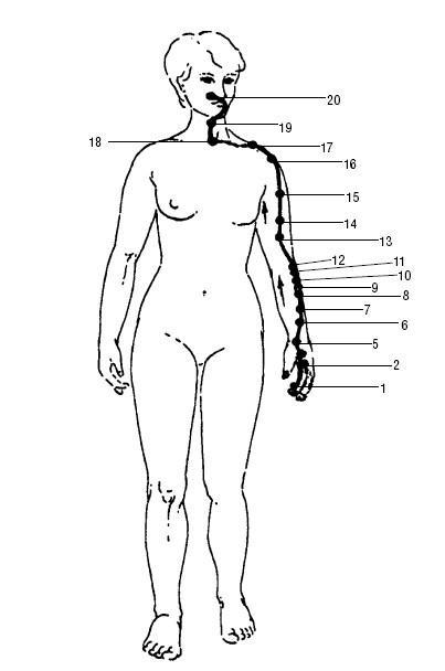 Исцеляющие точки организма. Самые надежные техники самопомощи