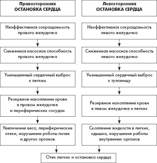 Скорая помощь. Руководство для фельдшеров и медсестер