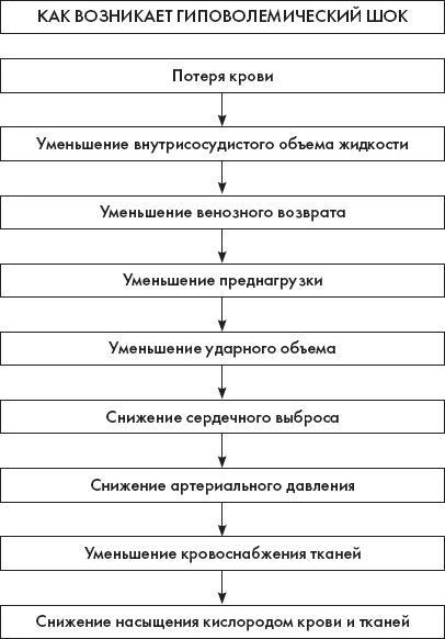 Скорая помощь. Руководство для фельдшеров и медсестер