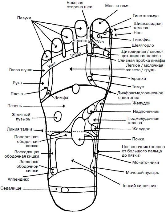 Целительные точки нашего тела. Практический атлас