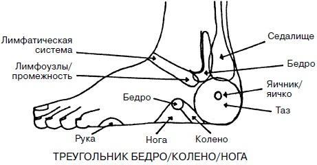 Целительные точки нашего тела. Практический атлас