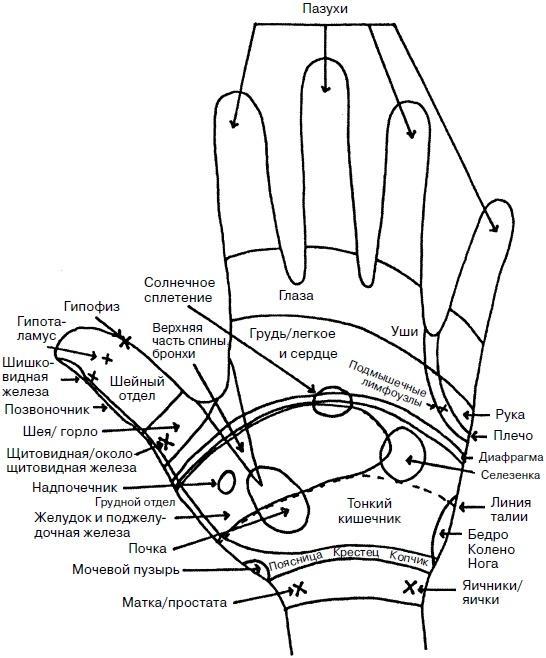 Целительные точки нашего тела. Практический атлас