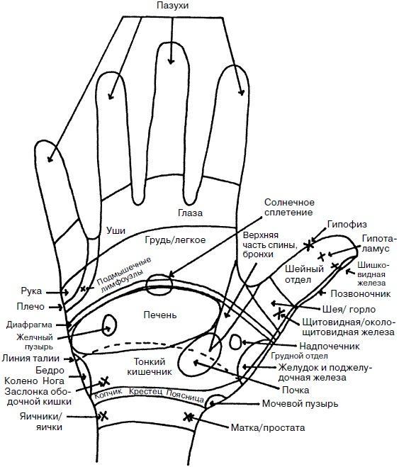 Целительные точки нашего тела. Практический атлас
