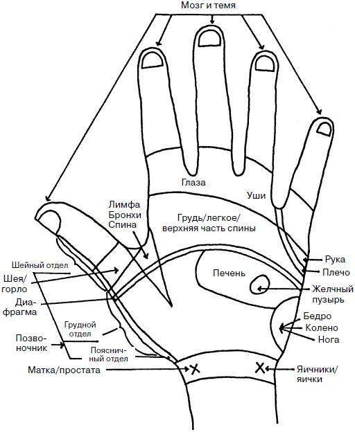 Целительные точки нашего тела. Практический атлас