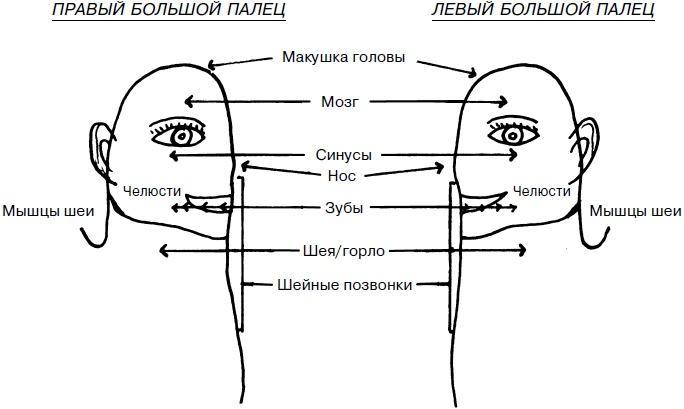 Целительные точки нашего тела. Практический атлас