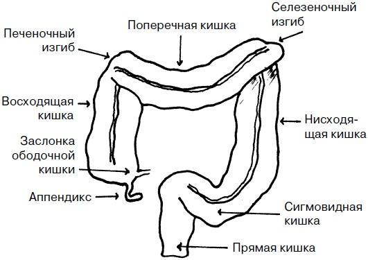 Целительные точки нашего тела. Практический атлас