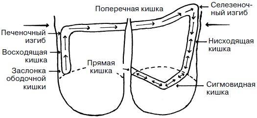 Целительные точки нашего тела. Практический атлас