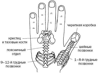 Простукивание активных точек - метод пробуждения целительной энергии. С подробным атласом