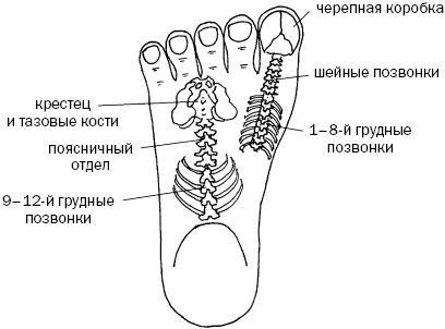 Простукивание активных точек - метод пробуждения целительной энергии. С подробным атласом