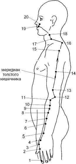 Простукивание активных точек - метод пробуждения целительной энергии. С подробным атласом