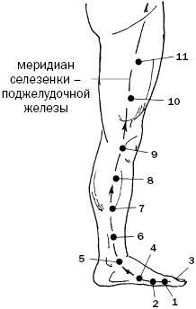 Простукивание активных точек - метод пробуждения целительной энергии. С подробным атласом