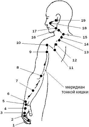 Простукивание активных точек - метод пробуждения целительной энергии. С подробным атласом